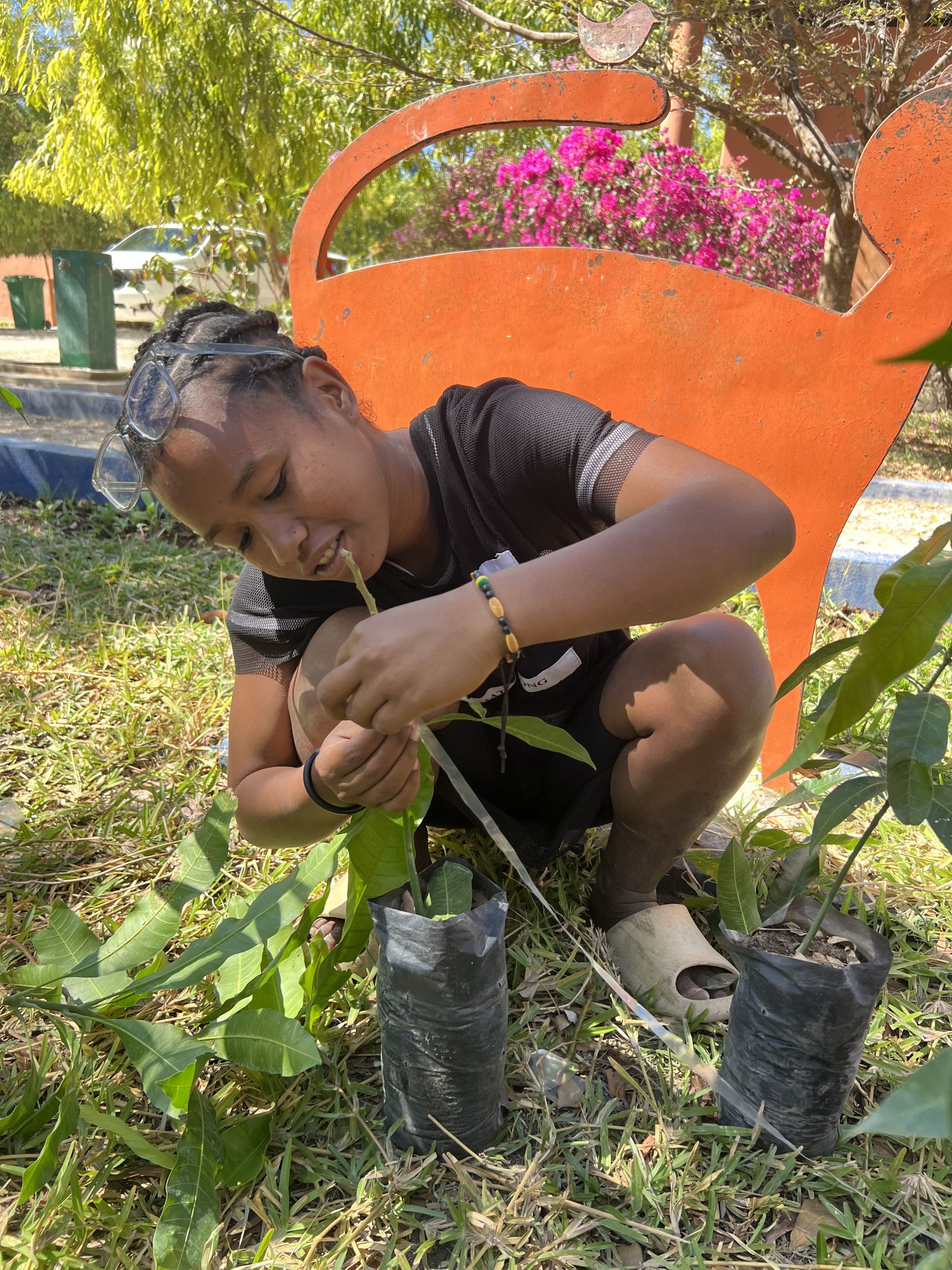 Photo : À Besely, on fait pousser les compétences